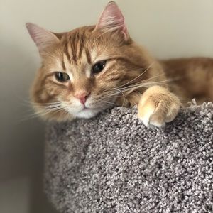 Meet your Posher, Jada